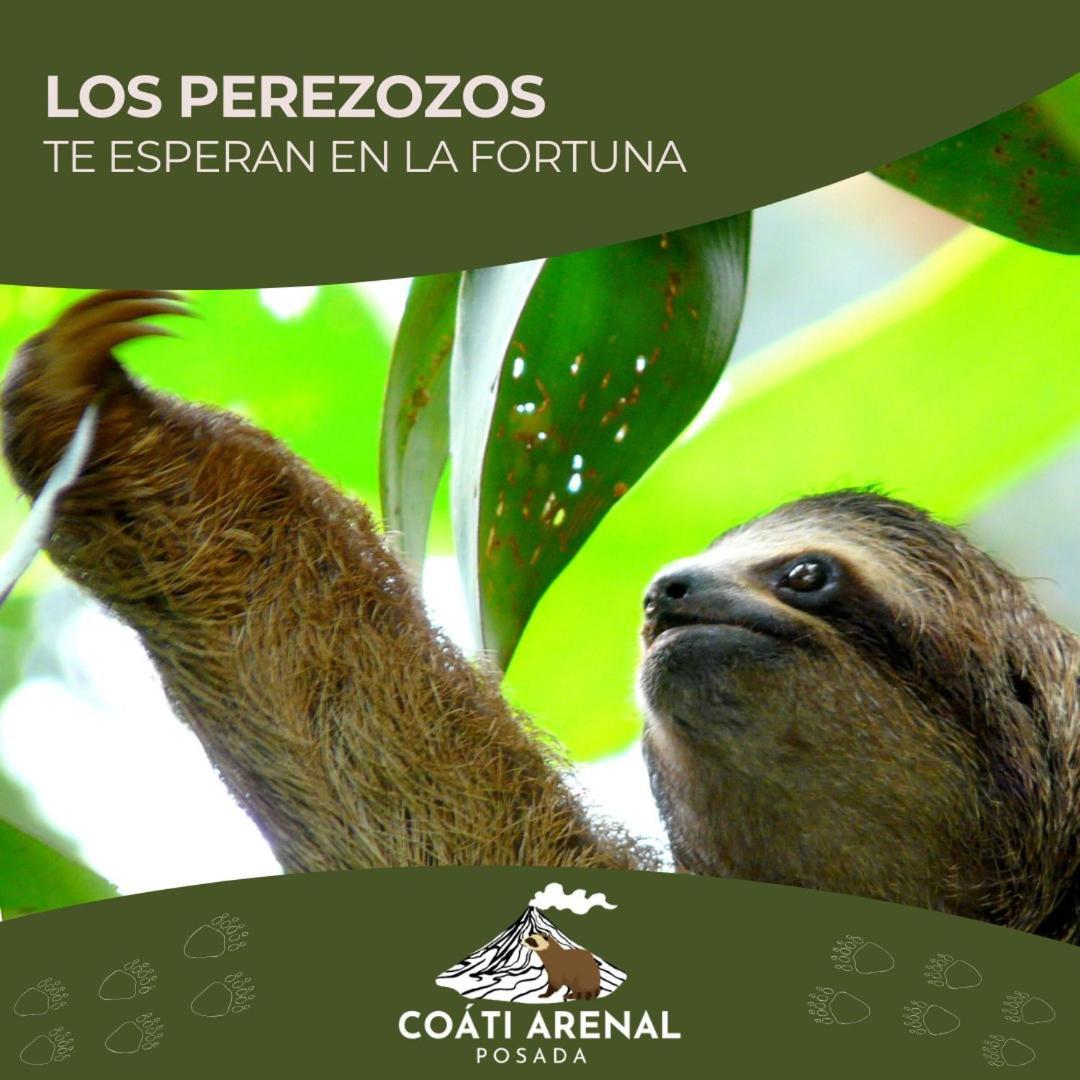 Coati Del Arenal Posada La Fortuna Luaran gambar